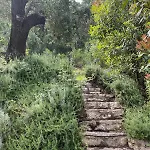 Victoria Villa *
